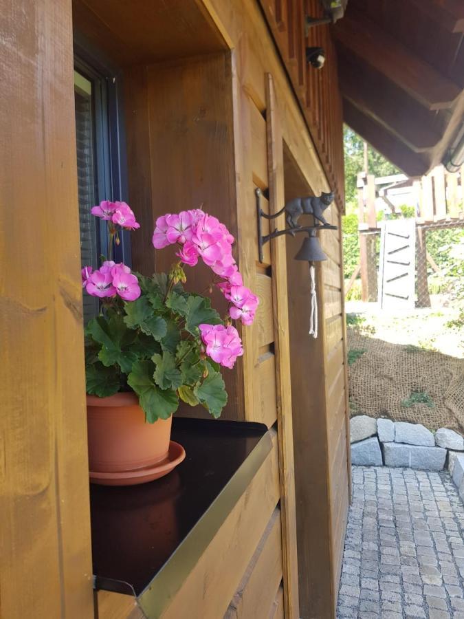 Roubenka Strma Villa Jesenik Bagian luar foto